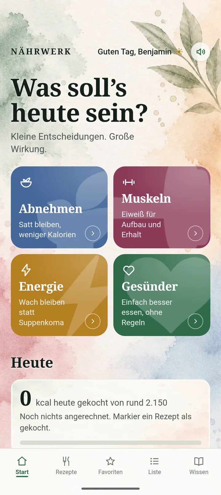 Startseite mit den vier Richtungen Abnehmen, Muskeln, Energie und Ges&uuml;nder